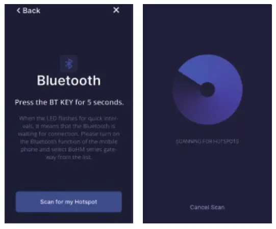 POLYHEX 2A4SS BOHM A BoHM Series Gateway - Bluetooth
