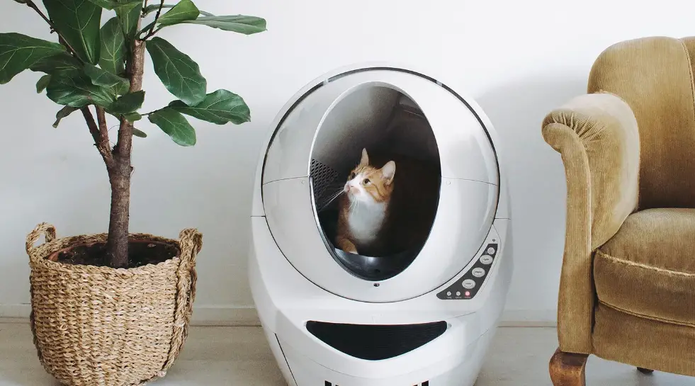 Litter-robot Lr3c-corebd-be 4 Fence Wi-fi Enabled Automatic Litter Box Installation Guide