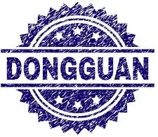 Dongguan logo