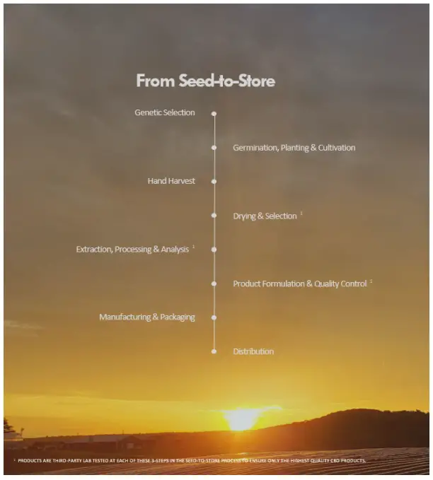 PROSPECT FARMS 1500mg CBD Dream Topical-Nighttime Relief - Figer1