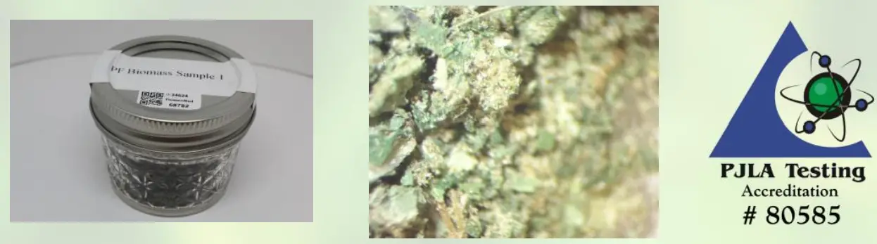 PROSPECT FARMS 1500mg CBD Dream Topical-Nighttime Relief - Figer2