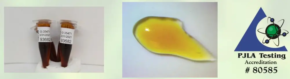 PROSPECT FARMS 1500mg CBD Dream Topical-Nighttime Relief - Figer8