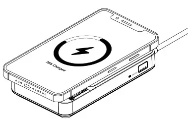 ALOGIC LDWAV SGR USB C Dock Wave 3 In 1 Hub Powerbank and Wireless Charger - User Instructions 11