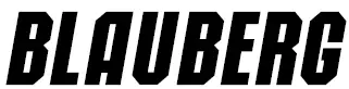 BLAUBERG-LOGO