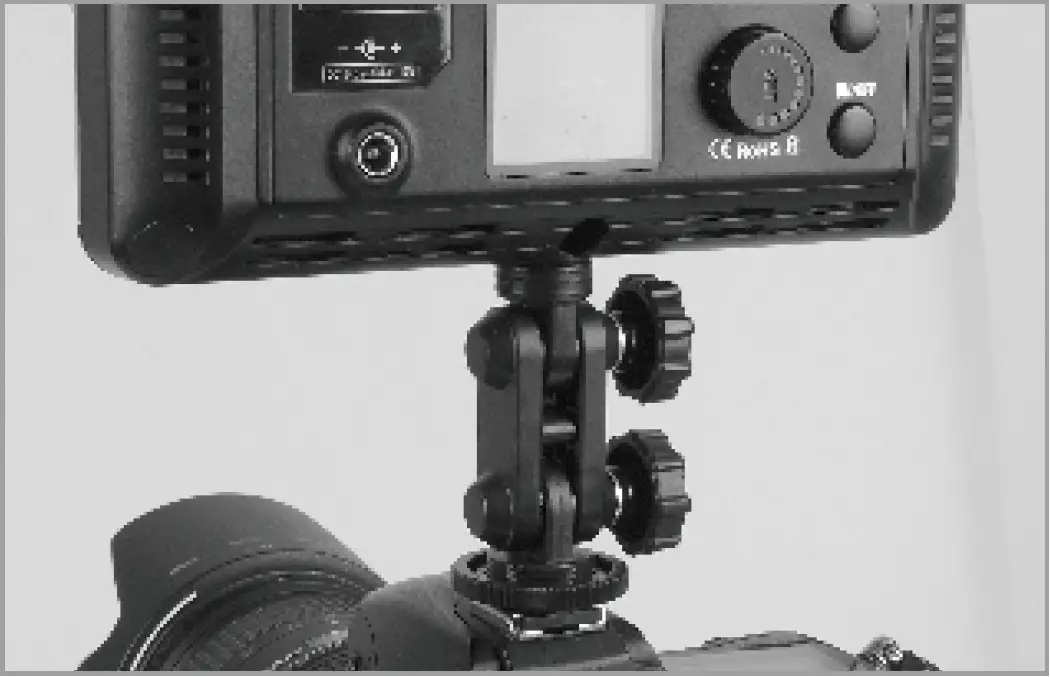 Video Light on Camera