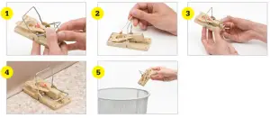 VICTOR M142 Power Kill Mouse- Kill Mouse Trap