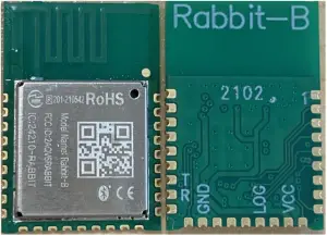 Pairlink Rabbit-B Bluetooth 5 BLE Module