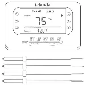 iclanda CP248A Smart Wireless Meat Thermometer