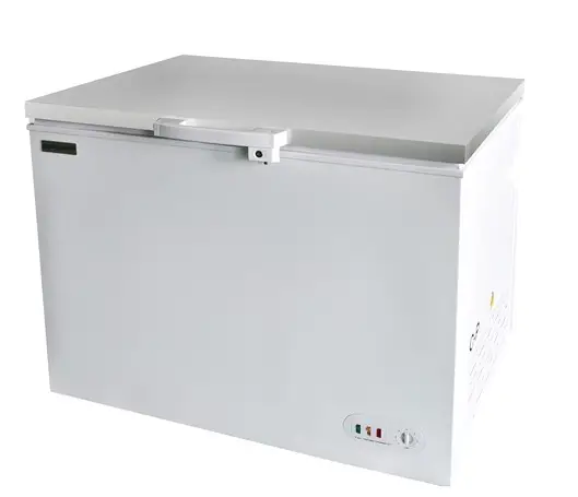 Gastroline BD350SS 350 Litre Commercial Chest Freezer product