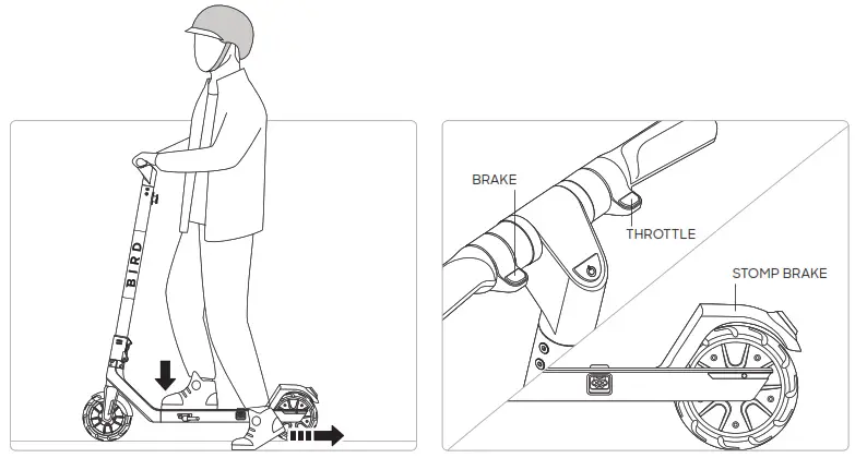 Bird Rides BirdAir 590 Electric Scooter - fig 8