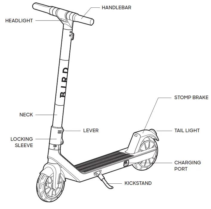 Bird Rides BirdAir 590 Electric Scooter