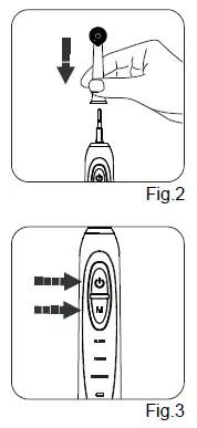 RISUNTECH-T2231-Oscillating-Toothbrush-FIG-3