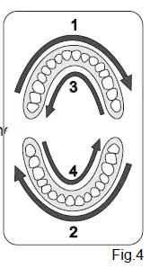 RISUNTECH-T2231-Oscillating-Toothbrush-FIG-4