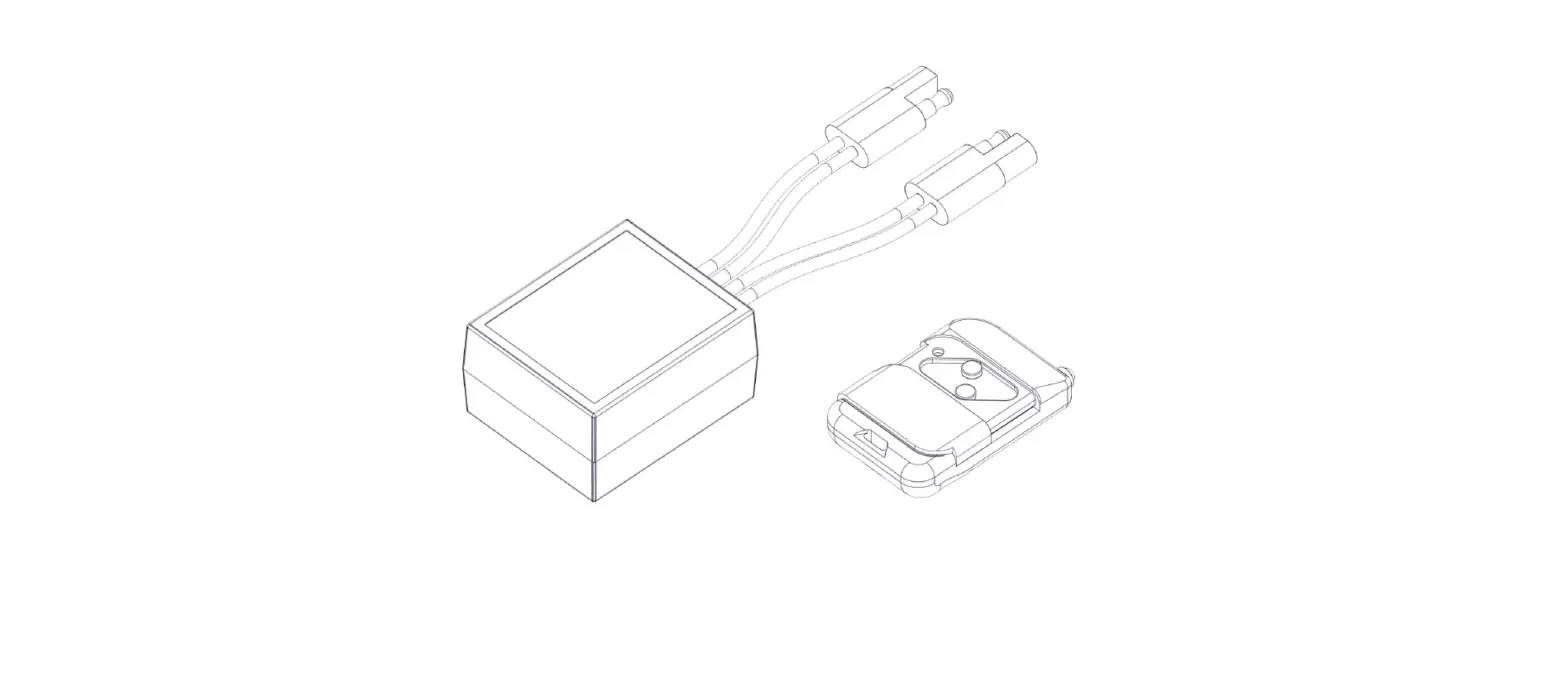 Fimco 7771938 12v Wireless Remote Control Instruction Manual