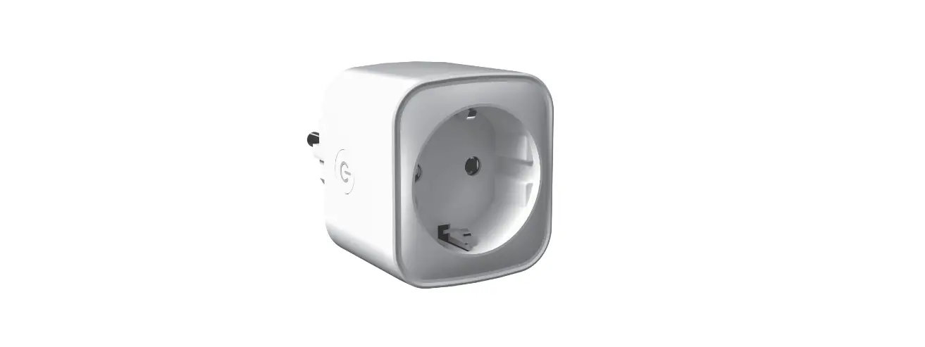 Hoftronic 5427213 Smart Plug Instructions