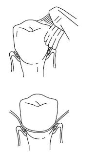 Waterpik-WP-450-Water-Flosser-User