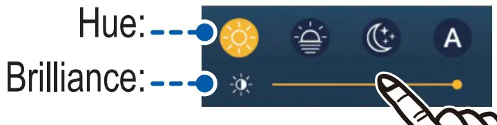 Operational Overview