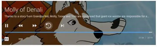 GARDEN VALLEY GVT Stream App Amazon Fire TV - Restart TV