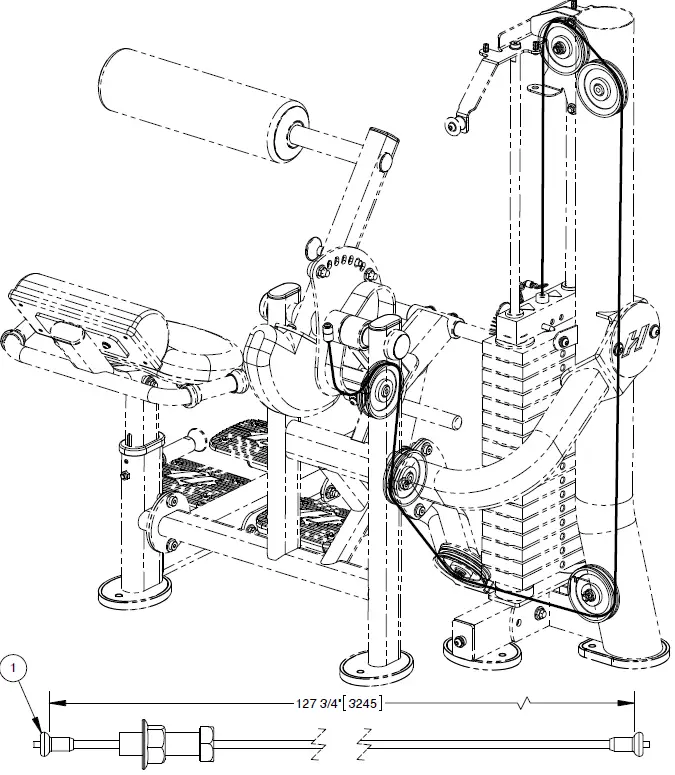 HOIST HD-3600 AB LOW Back Aka Fitness 02