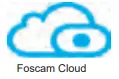FOSCAM SD2X HD Wireless TX Dome IP Camera - cloud service