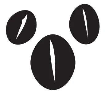 FoodSaver FM2000 Vacuum Sealing System - Coffee