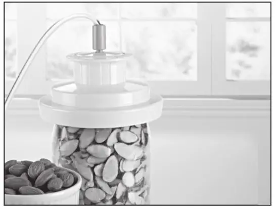 FoodSaver FM2000 Vacuum Sealing System - Jars