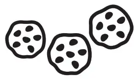 FoodSaver FM2000 Vacuum Sealing System -Preparation