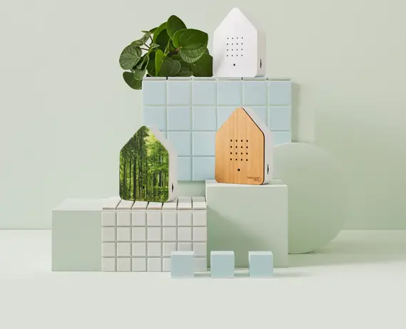 BRAIN STREAM Zwitscherbox Sound Therapy Machine with Motion Sensor