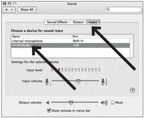 Instruction Manual sound input