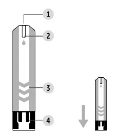 TD-GLUCO-TD-4279-Blood-Sugar-Control-System-fig-4