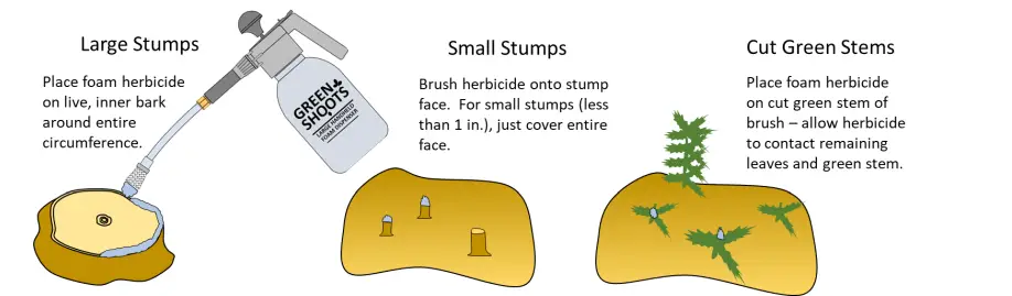 Green Shoots Large Foam Herbicide Dispenser 5