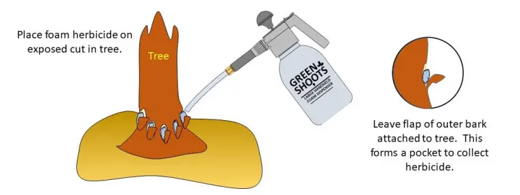 Green Shoots Large Foam Herbicide Dispenser 6