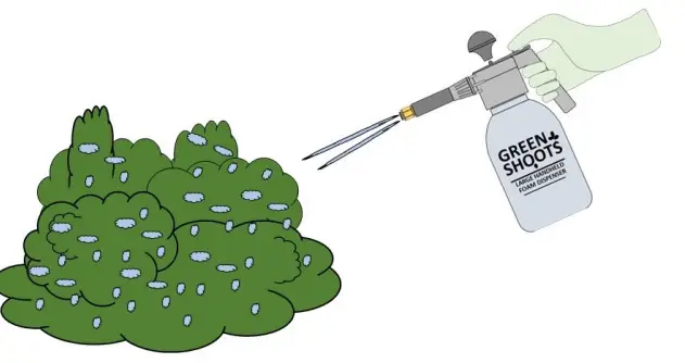 Green Shoots Large Foam Herbicide Dispenser 7