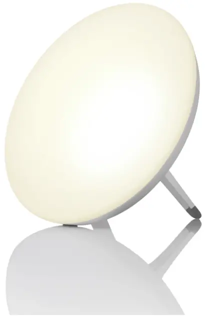 LT 500 Daylight Lamp