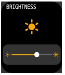 Brightness level