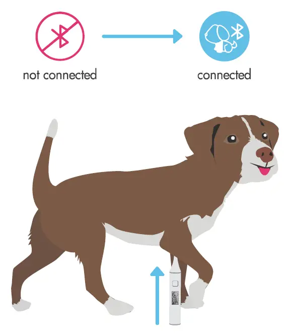 Mella Petcare MELLA001 Mella Pro Pet Thermometer -02