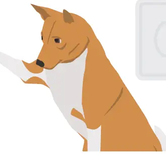 Mella Petcare MELLA001 Mella Pro Pet Thermometer -03