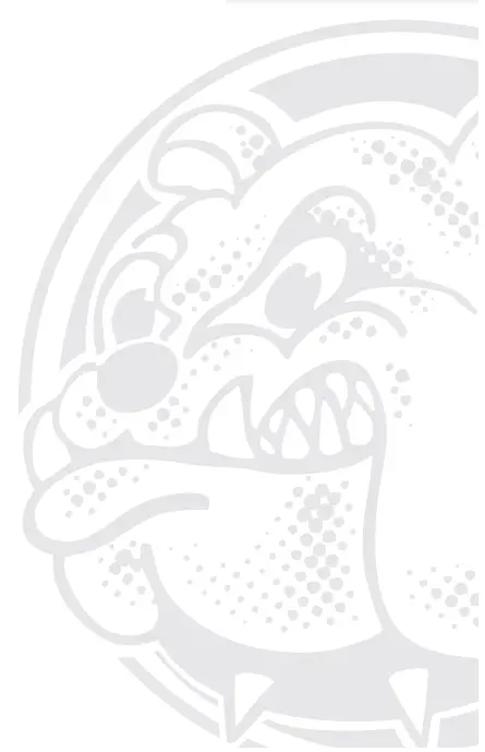 MaGnat BULLDOG 7 Party Speaker-