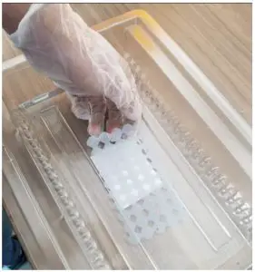 Wiiboox AK95884 Light 3D Printer - process 3