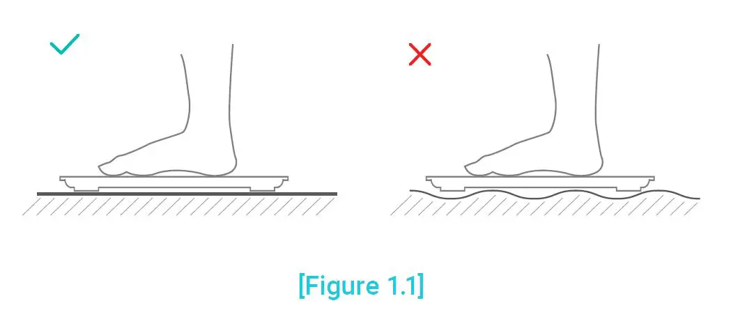 ETEKCITY ESB4074C Smart Body Weight Scale-5