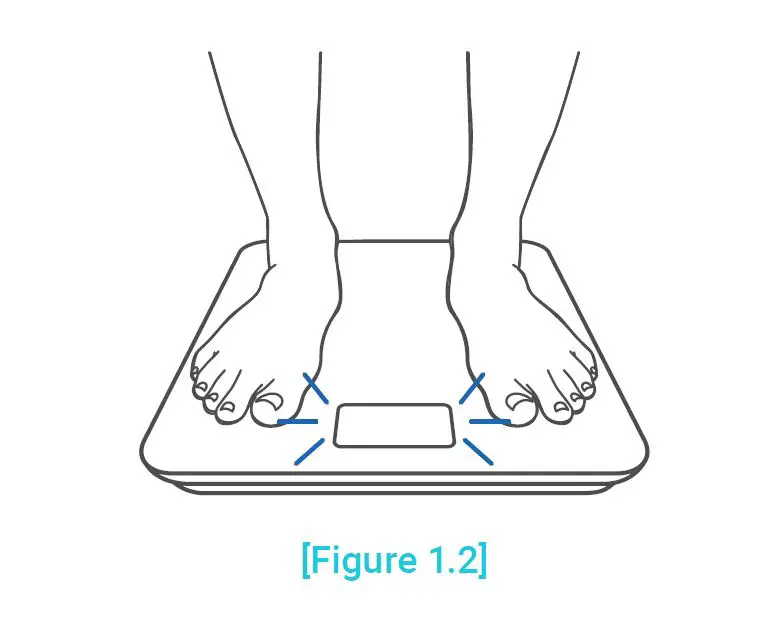 ETEKCITY ESB4074C Smart Body Weight Scale-6