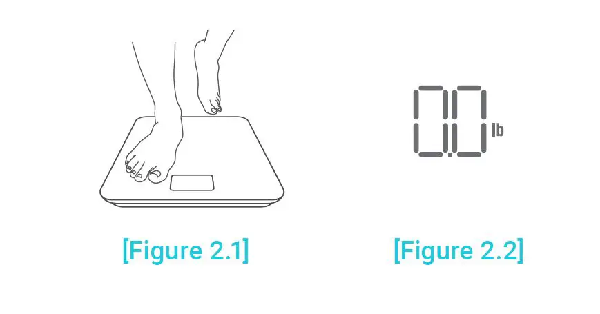 ETEKCITY ESB4074C Smart Body Weight Scale-7