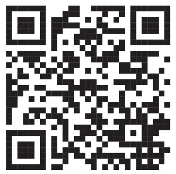 Port NetDirector DisplayPort Rack-Mount Console KVM- KV