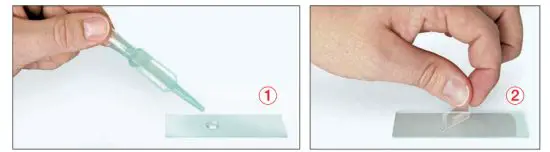 BRESSER 5201020 LCD Microscope Touch - figure 3