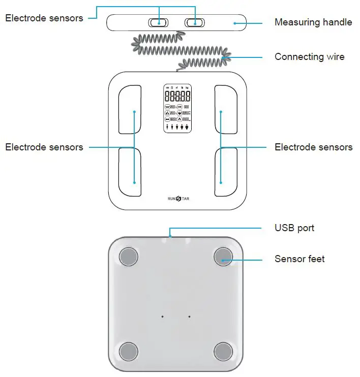 RUNSTAR FG2001ULB Smart Full Body Composition Scale fig 4