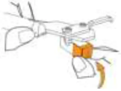 Lenco LS 440GY Turntable with 4 speakers built-in and Bluetooth reception - Fig 21