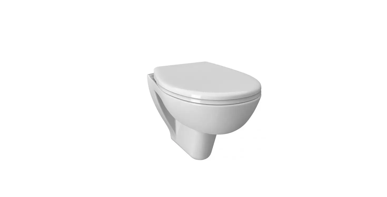 Vitra S20 Compact Wall-mounted Washdown Toilet User Manual Vitra S20 Compact Wall-mounted Washdown Toilet User Manual