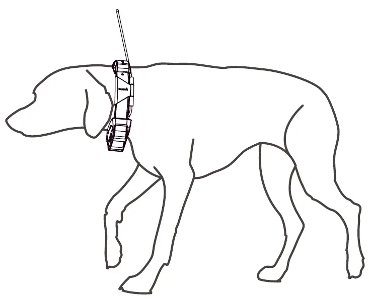 GARMIN-KT15-QSM-Dog-Training-Leash-4