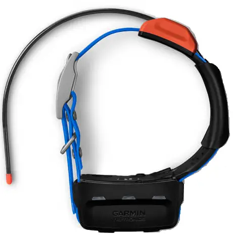 GARMIN-KT15-QSM-Dog-Training-Leash-PRO