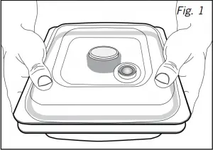 Vacuum Seal with FoodSaver Fresh Containers Fig 1